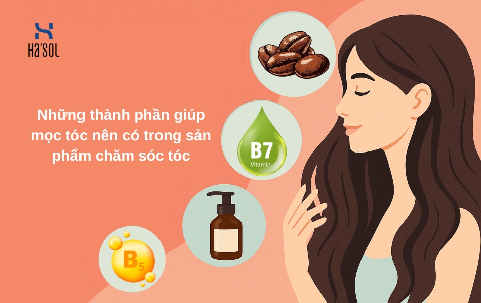 Những thành phần giúp mọc tóc nên có trong các sản phẩm chăm sóc tóc